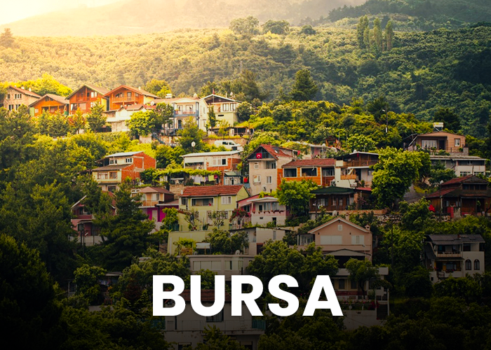 Bursa
